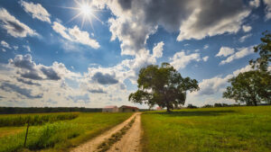 A country road on a sunny day/Getty Images