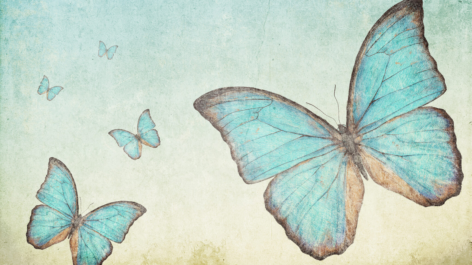 Blue butterflies;/Getty Images