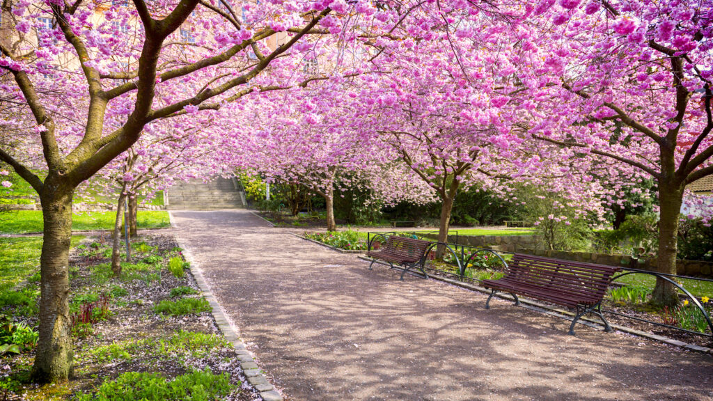 10 Reasons Why Spring Is The Most Positive Season Guideposts Articles 10-reasons-why-spring-is-the-most-positive-season-guideposts-articles