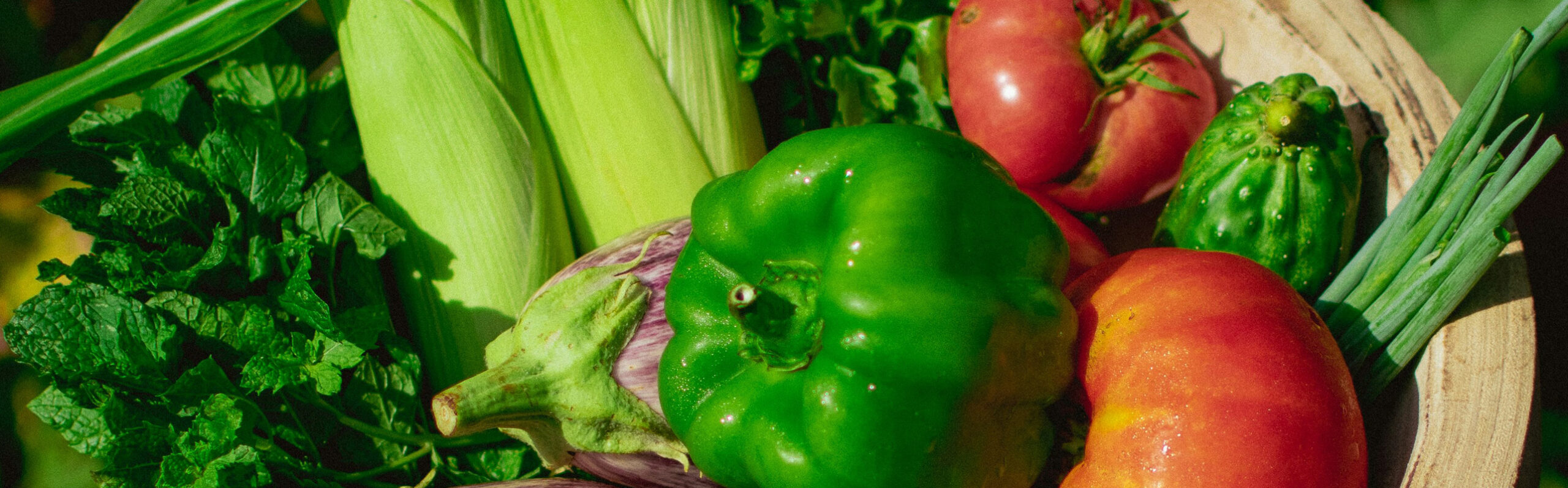 A hand holding a plate of vegetables.