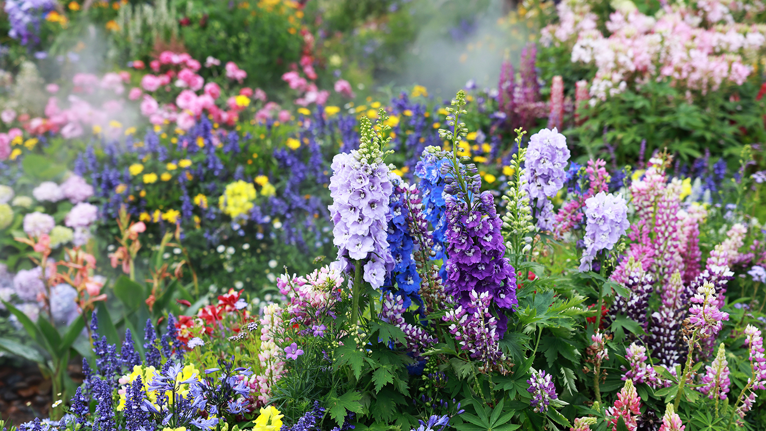 A flower garden in bloom