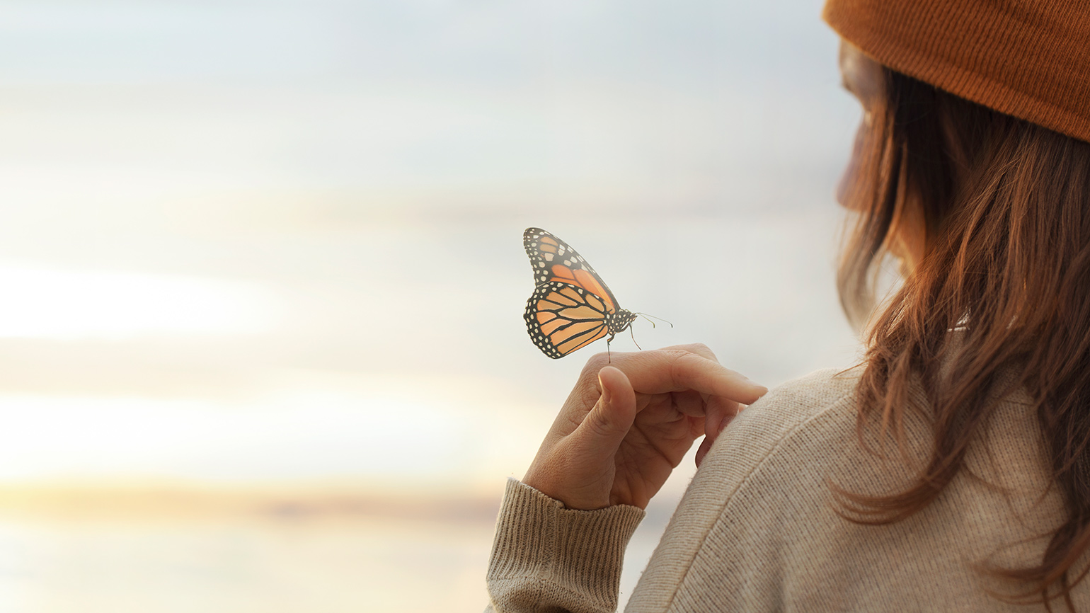 A buttefly landing on a woman's hand