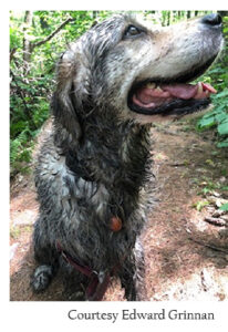 Muddy Gracie; photo courtesy Edward Grinnan