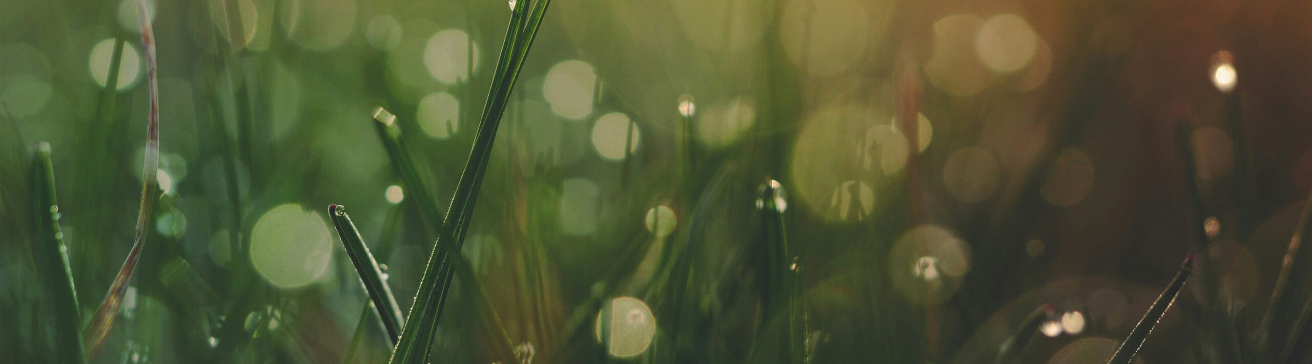 Today We Invite You to Reflect on Being Created for a Purpose
