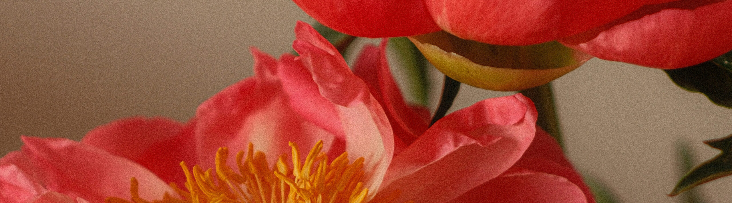 Today We Invite You to Reflect on Holding Things Lightly