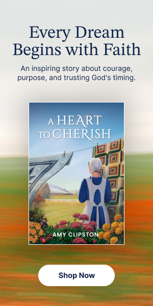 A Heart to Cherish right rail banner ad
