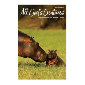 All God's Creatures Magazine
