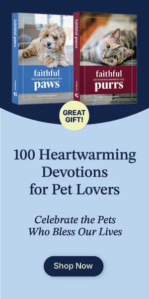 Faithful Paws and Purrs Right Rail Ad