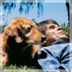 Dean Koontz found personal growth by getting a dog