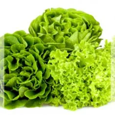 Lettuce wraps recipe