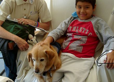 Pets: Animal therapy heals patients