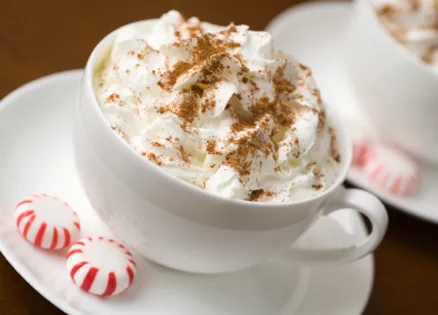 Chocolate recipes: Peppermint Hot Chocolate