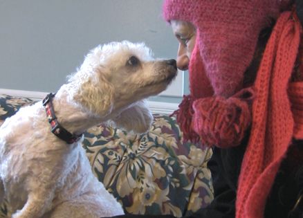 poodle and Sharon Azar at Pets Alive Rescue Shelter