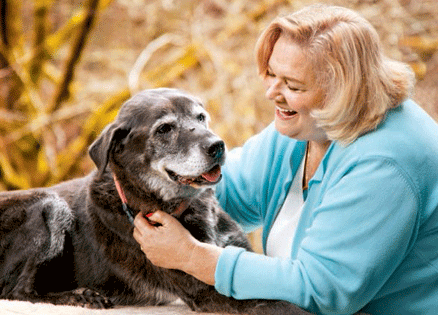 Guardian Angel Dog: Bear to the Rescue