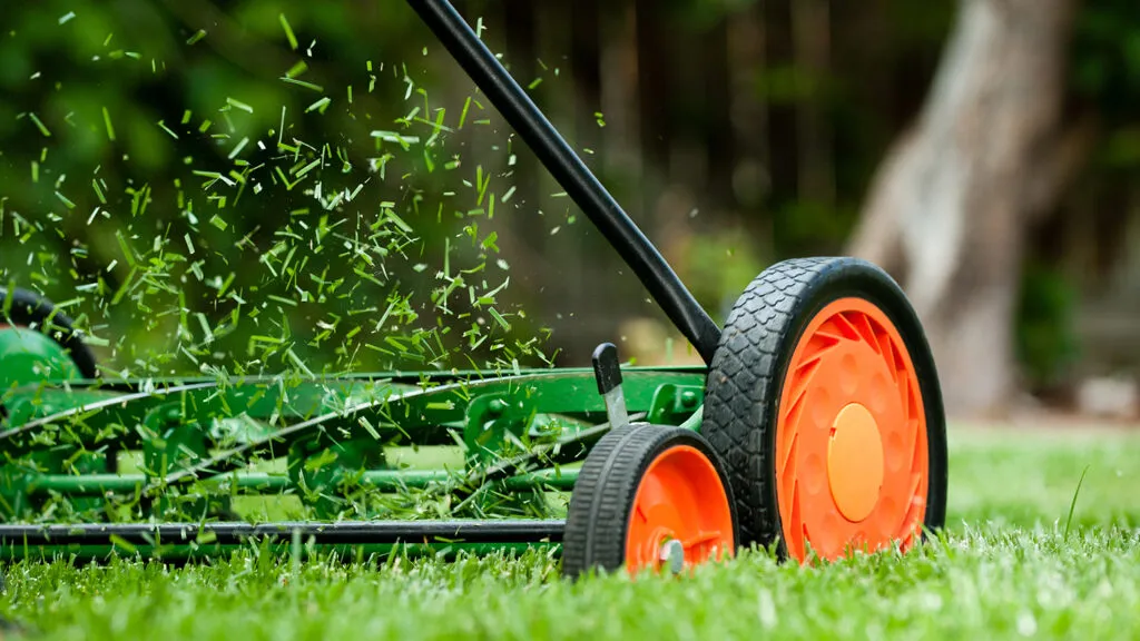 A push mower in action