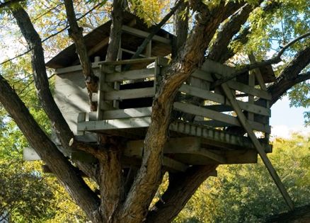 Tree house from this daily reflection