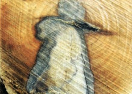 Angel sighting on a slice of wood