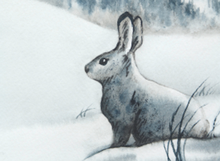 Illustration of a white snowshoe hare