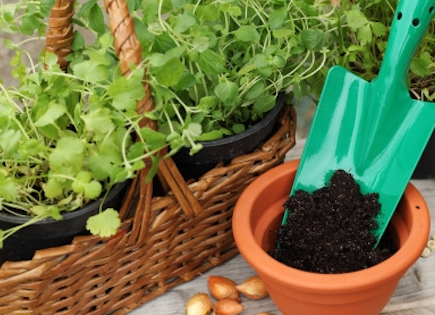 garden tools, seeds and potting soil.