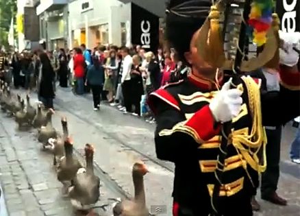 Belgium's Goose Parade, as seen during the Festival of Ghent.