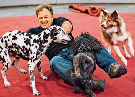 Luciano Anastasini with several of his Pound Puppies