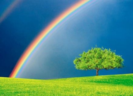 A double rainbow and tree on the cover of Mysterious Ways magazine
