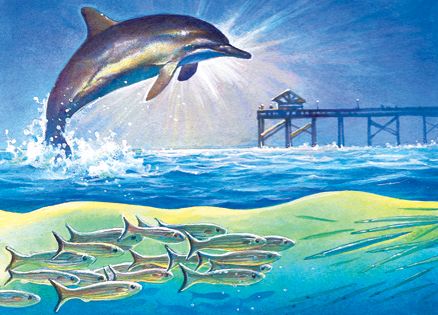 An artist's rendering of a dolphin leaping from the water
