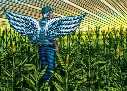 An artist's rendering of an angel in a cornfield