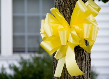A yellow ribbon around a tree in a front yard.