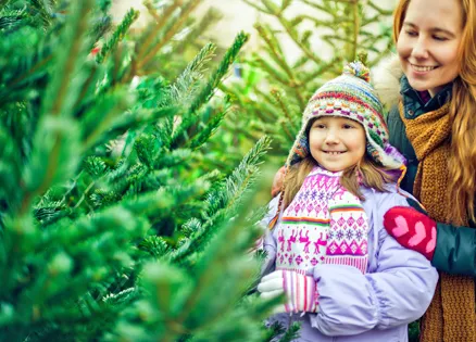 A family shops for a Christmas tree