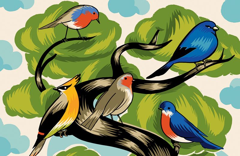 An artist's rendering of Ann's bird messengers