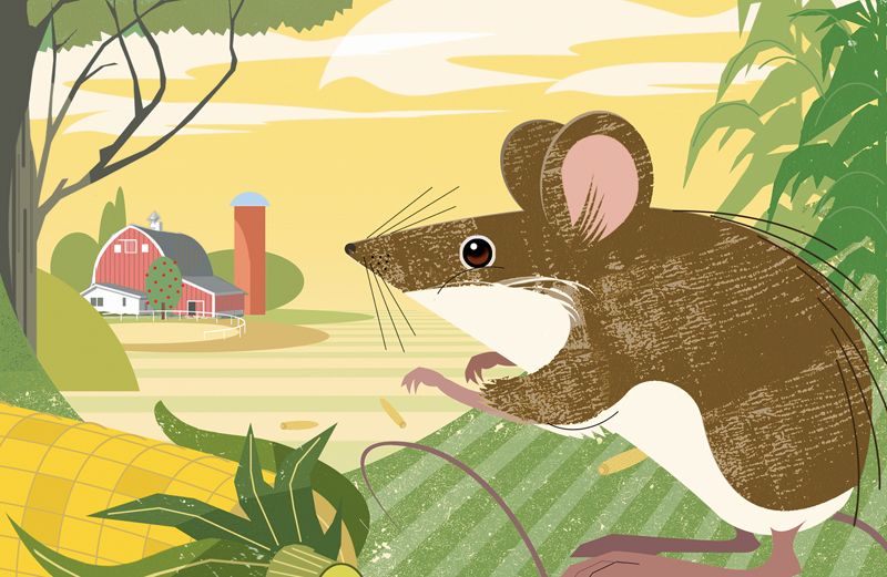 An artist's whimsical rendering of a field mouse on a farm