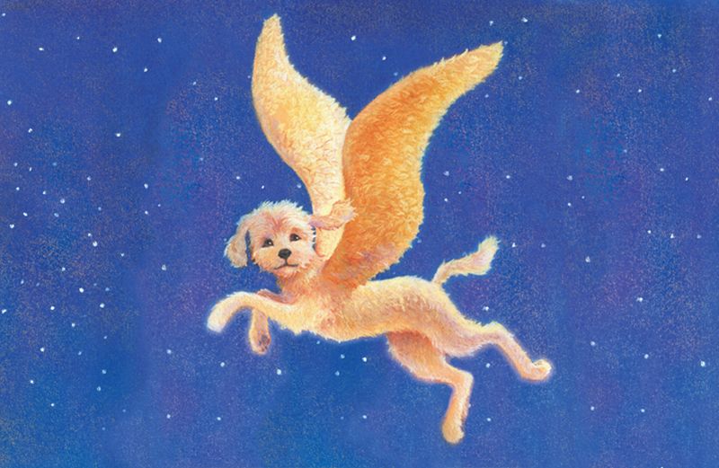An artist's rendering of a winged Labradoodle soaring in the sky