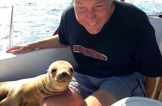 A pleasure cruiser and his unexpected guest, a sea lion