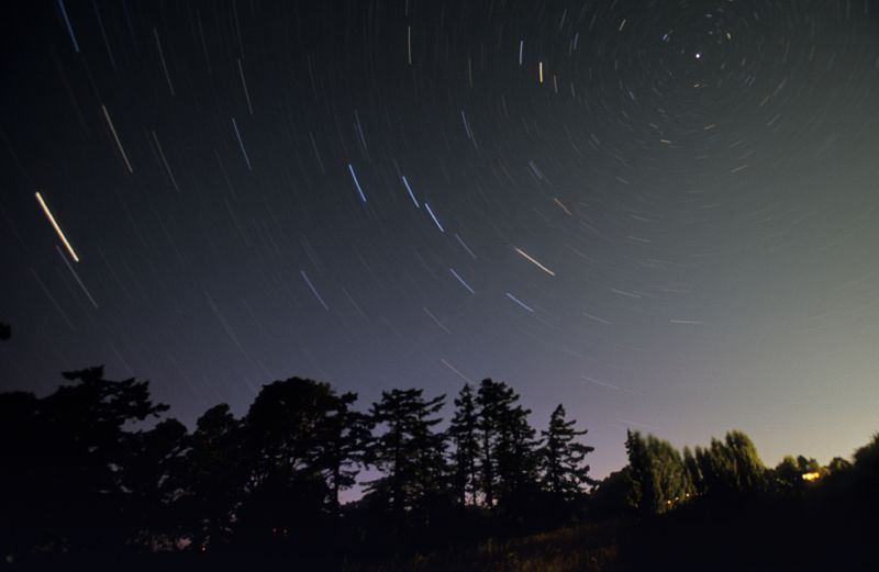 Shooting stars over trees in a beautiful night sky