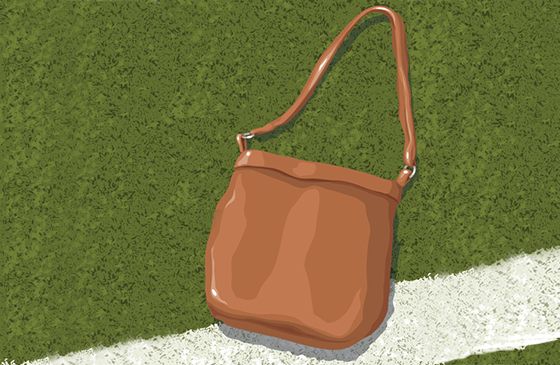 An artist's rendering of a lost purse on a football field