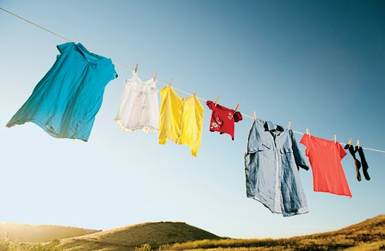 Various articles of clothing drying on a clotheslines