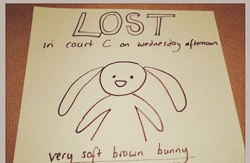 A Lost Bunny sign posted to Instagram that helped a little boy find his toy