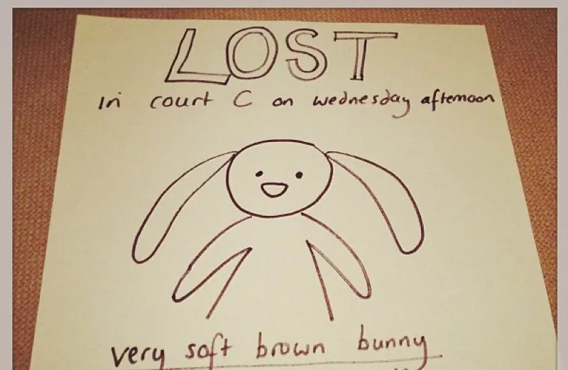 A Lost Bunny sign posted to Instagram that helped a little boy find his toy