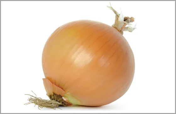 An onion