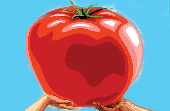 An artist's rendering of a giant tomato