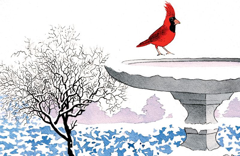 An artist's rendering of a cardinal perched on a snow-covered birdbath