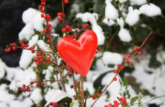 flowers and a heart decoration at the cemetery in winter