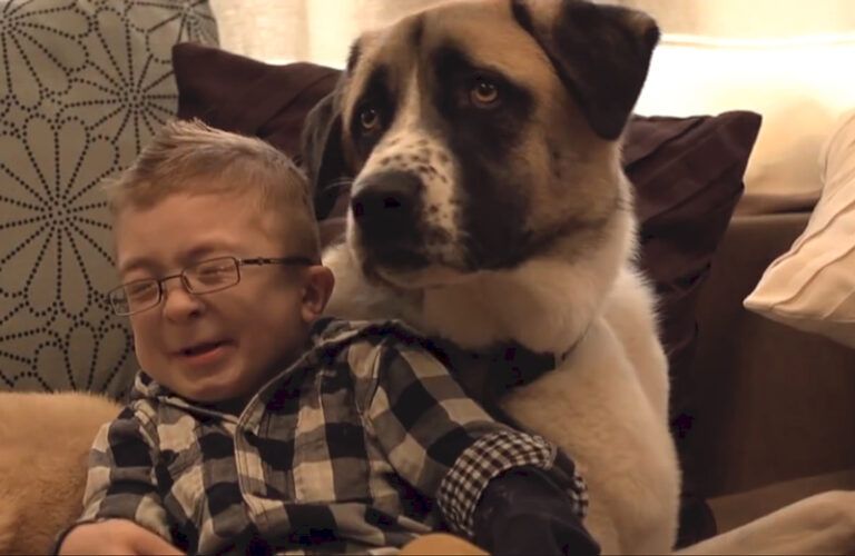 Boy and dog sitting together