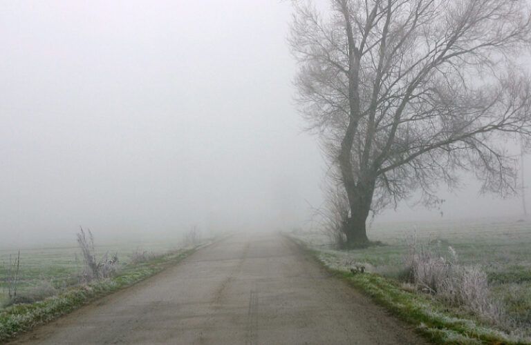Thick fog on a country road