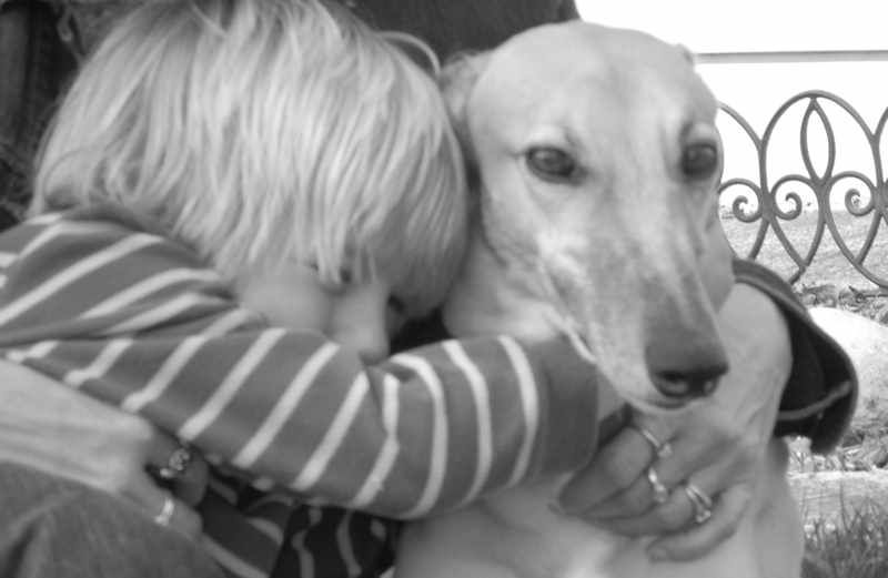 Stories of Faith blogger Shawnelle Eliasen's son and greyhound dog, Sis