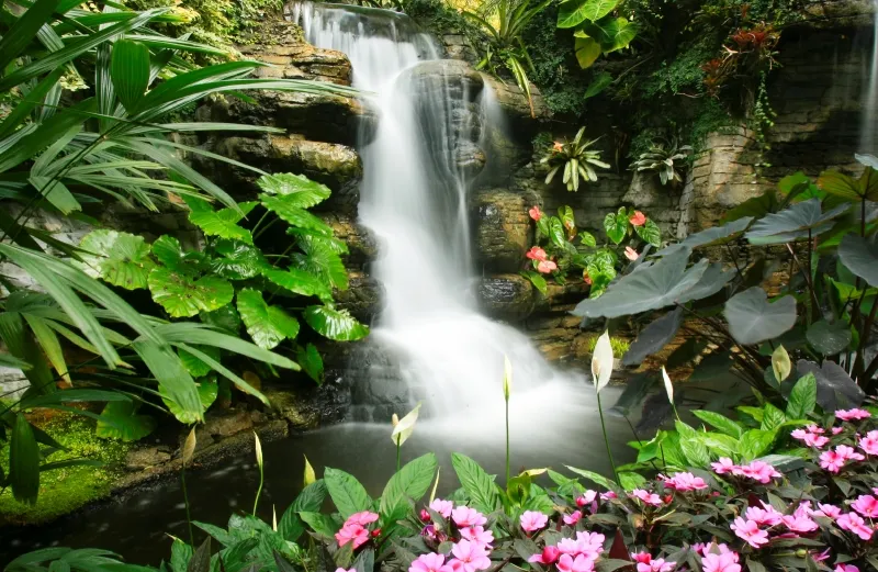 beautiful waterfall in Central America