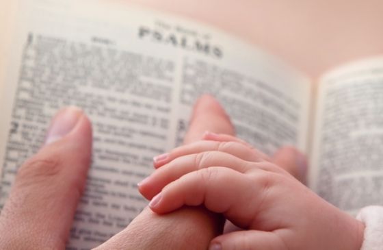 close-up of a hands on a bible