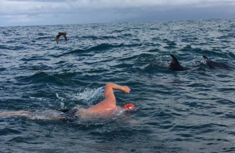 British swimmer Adam Walker with the pod of dolphins that saved him from a shark