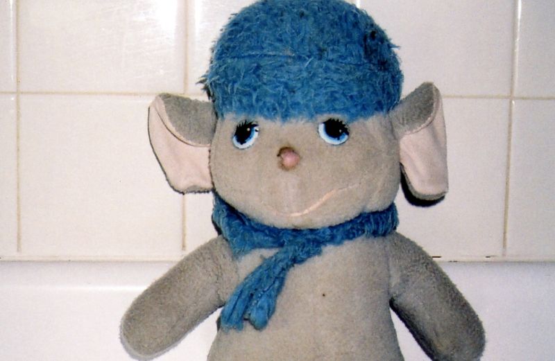Photo of the missing stuffed animal, Bianca.
